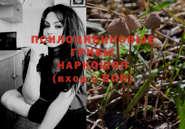 ешки Каменка
