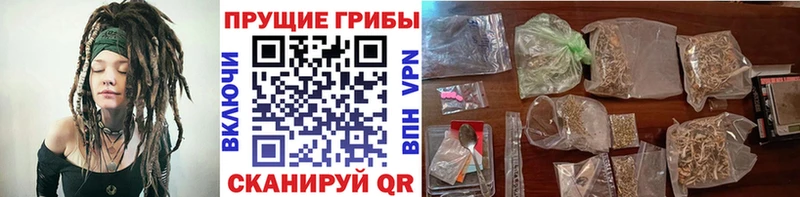 Купить где  Городец  Псилоцибиновые грибы Cubensis 